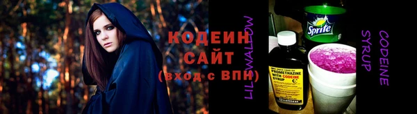 индика Верея
