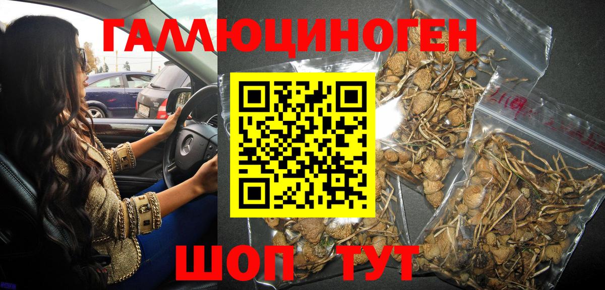Галлюциногенные грибы Psilocybine cubensis  Псилоцибиновые грибы Psilocybine cubensis  Краснокамск  цена наркотик  Вход с VPN 