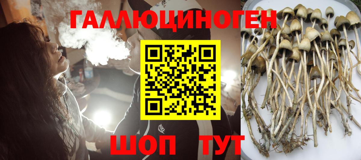 Галлюциногенные грибы GOLDEN TEACHER  Краснокамск 